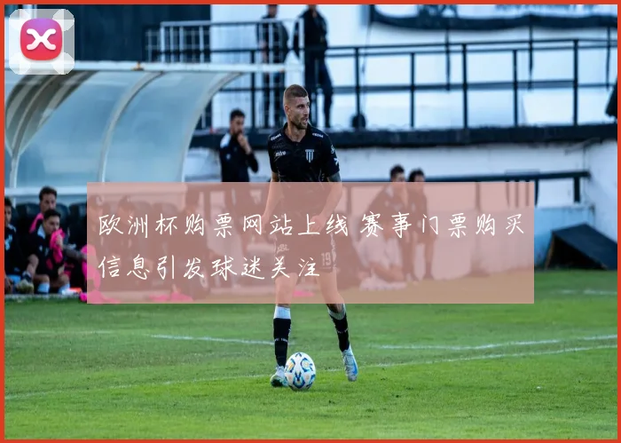 欧洲杯购票网站上线 赛事门票购买信息引发球迷关注