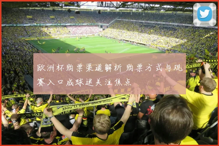 欧洲杯购票渠道解析 购票方式与观赛入口成球迷关注焦点