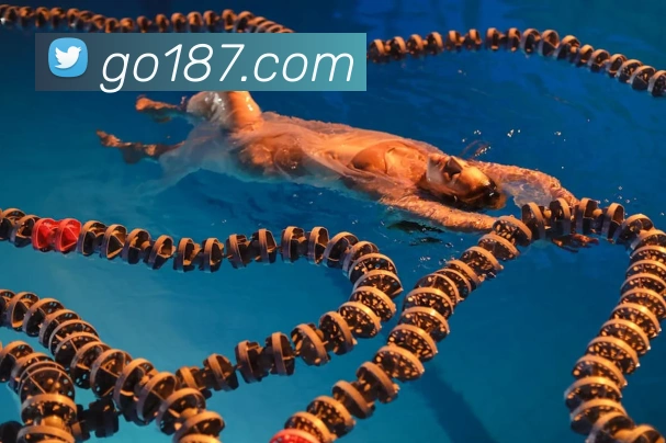 开云在线官网登录全站App